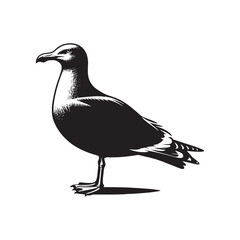 Herring Gull Vector Silhouette, Majestic Seabird Design, Coastal Bird Illustration, Detailed Avian Outline, Ocean Wildlife Art, Marine Bird Symbol.
