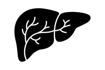 Liver anatomy human organ medical illustration art