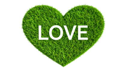 Green Grass Heart Shape written inside Love isolated on solid white background Png