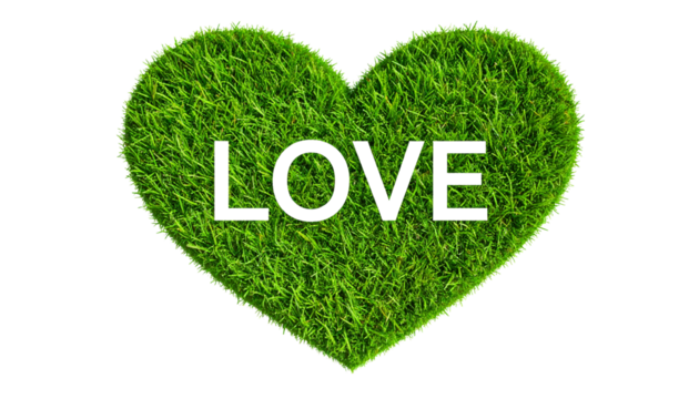 Green Grass Heart Shape written inside Love isolated on solid white background Png
