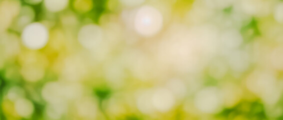 Abstract background with blurred green yellow and white colors creating a bokeh effect.