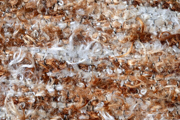 Close up of a fuzzy brown and white fabric with a lot of white hair