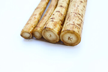 Fresh burdock roots or gobo roots