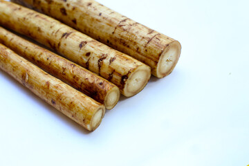 Fresh burdock roots or gobo roots