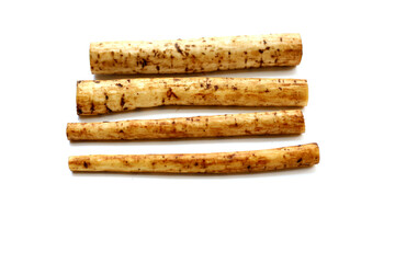 Fresh burdock roots or gobo roots