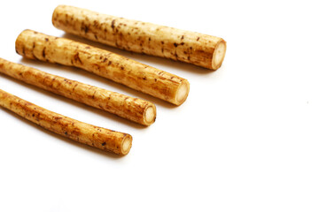 Fresh burdock roots or gobo roots