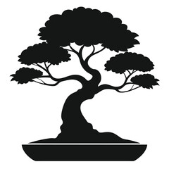 bonsai tree isolated on white