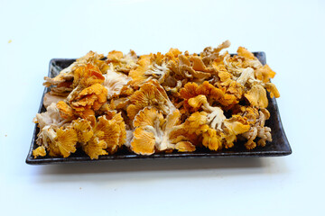 Splitgill mushroom or schizophyllum commune mushroom