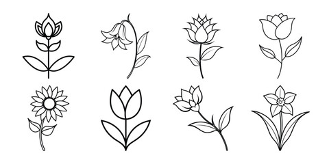 Simple flower line drawing set on white background