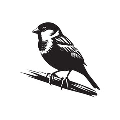 House Sparrow Vector Silhouette, Common Garden Bird Design, Detailed Avian Outline, Nature-Inspired Wildlife Art, Urban Bird Illustration, Small Songbird.
