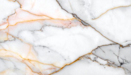 A marble background exudes sophistication and timeless elegance, characterized by its natural veining patterns and smooth, polished surface. The texture typically features a light base color.