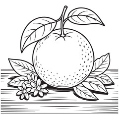  Coloring page of a ripe orange with flowers and leaves, perfect for fruit and nature-related content.