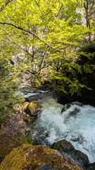 Scenic mountain waterfall surrounded by mossy rocks and vibrant spring foliage, captured at sunrise in the Pyrenees of Arag&oacute;n, travel and nature image for adventure, hiking and photography themes
