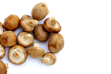 Fresh shiitake mushrooms on white background.