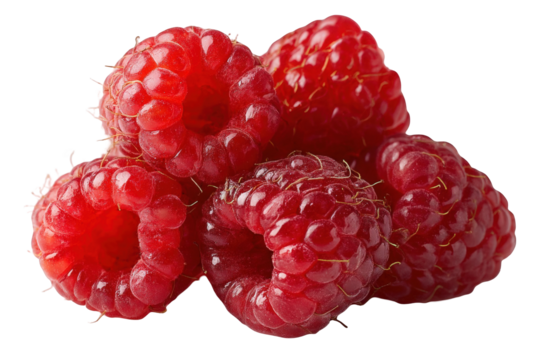 Closeup of fresh red raspberries isolated on detailed macro photography of juicy summer berries sweet on transparent background