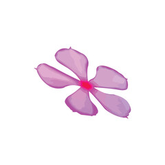 pink magnolia flower