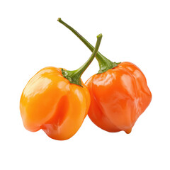 Close-up of Two Vibrant Orange Chili Peppers, Perfect for Cooking , isolated on white background png