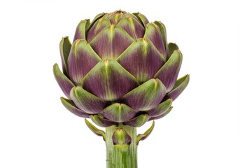 Obraz premium Isolated artichoke with green and purple leaves on a white background