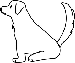 cute simple big dog, retriever