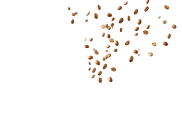 A flurry of falling coffee beans against a white backdrop
