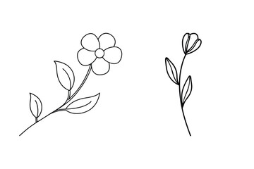 Simple hand drawn black and white flowers and leaves on a white background for designs