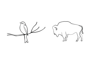 Minimalist vector illustration of a bird perched on a branch and an american bison depicted in line art