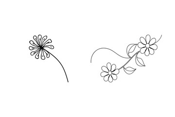 Hand drawn black and white floral elements depicting daisy flowers and decorative botanical designs