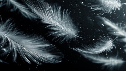 Obraz premium feathers light floating black space glowing ethereal surreal minimal scene delicate luminous abstract
