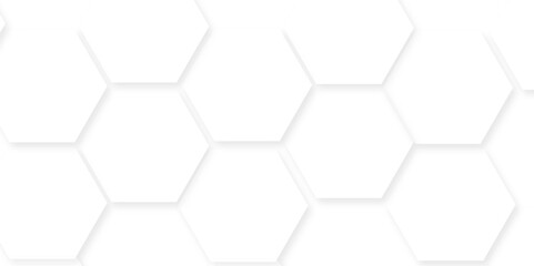 Abstract background with hexagon, modern abstract vector polygonal pattern. Futuristic honeycomb mosaic white background,white and gray hexagon honeycomb geometric copy space.	