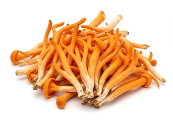 Heap of vibrant orange cordyceps militaris mushrooms, a medicinal fungus on a white surface