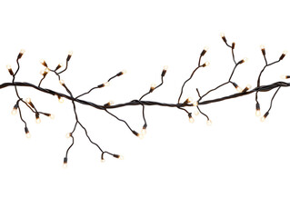 Isolated String of Branch Lights