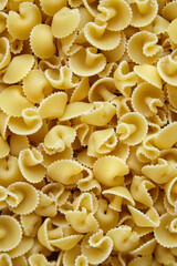 Macro view of uncooked funghetti pasta with frilly, curved edges and a mushroom-like shape, forming...