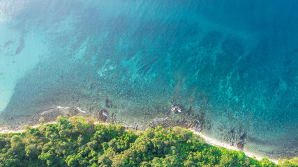 Aerial view of the dark green forest and the sea. Natural ecosystems of forests and oceans. concept of natural forest conservation	
