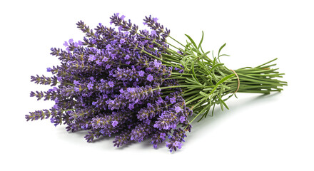 Close Up Of A Vibrant Lavender Bouquet With Green Stems Against A Clean White Backdrop