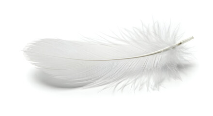 Obraz premium Close Up Of White Feather Isolated On White Background With Glitter Effect