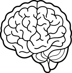Human brain anatomy outline vector illustration line art