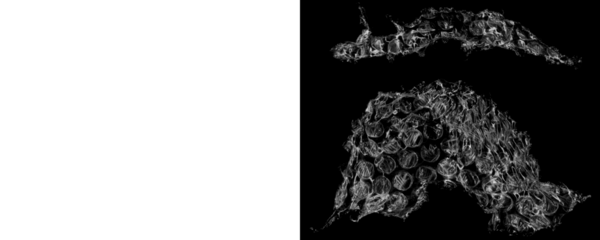 Clean Bubble Wrap Texture With Repeating Air Cell Pattern on a Transparent or White Background