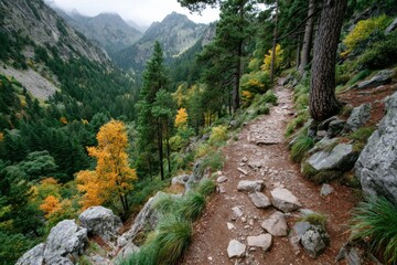 Obraz premium Stunning autumn trail winding through mountains with vibrant foliage and rocky path