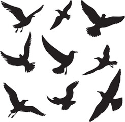 Fototapeta premium Seagull Silhouettes Flying: Black and White Vector Illustration of Birds in Flight, Graphic Design Element for Nature and Wildlife Projects
