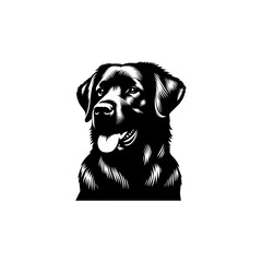 black dog vector illustration