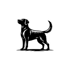 vector illustration of a black dog