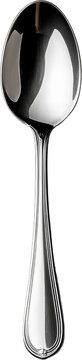 spoon 