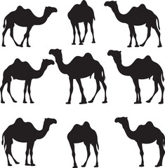 Camel Silhouettes: Vector Graphic Set of Desert Animals in Various Poses, Black and White Illustration for Design Projects and Creative Use