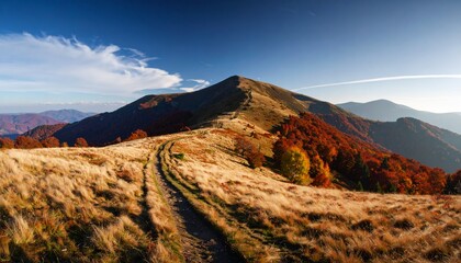 Vista panorámica de una meseta árida en la cima de una montaña con un camino cubierto de hierba por un colorido follaje otoñal y árboles rojos y verdes.