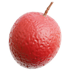 Lychee 3d illustration