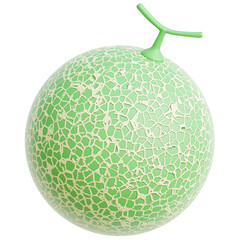 Melon 3d illustration