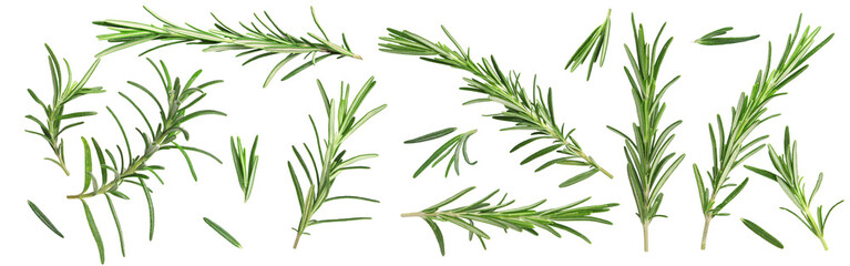 Fototapeta premium Fresh aromatic rosemary isolated on white, collage