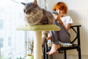 home life of pets and owners