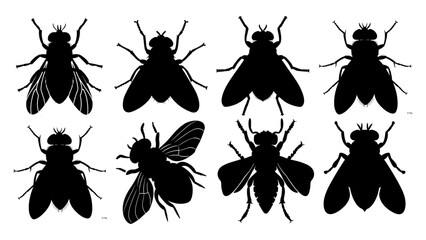 Insect Silhouette Vector – Black Winged Bug Illustration with Clean Lines and High Contrast