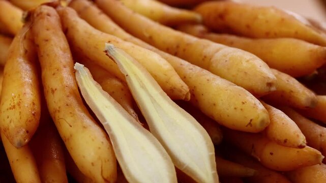 Fresh Finger root or Kaempfer (kachai)	